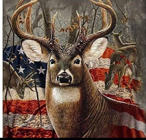 Meet your Posher, King